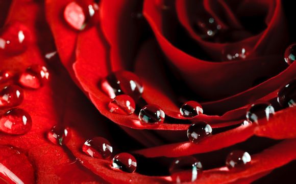 梦幻西游卖角色哪里